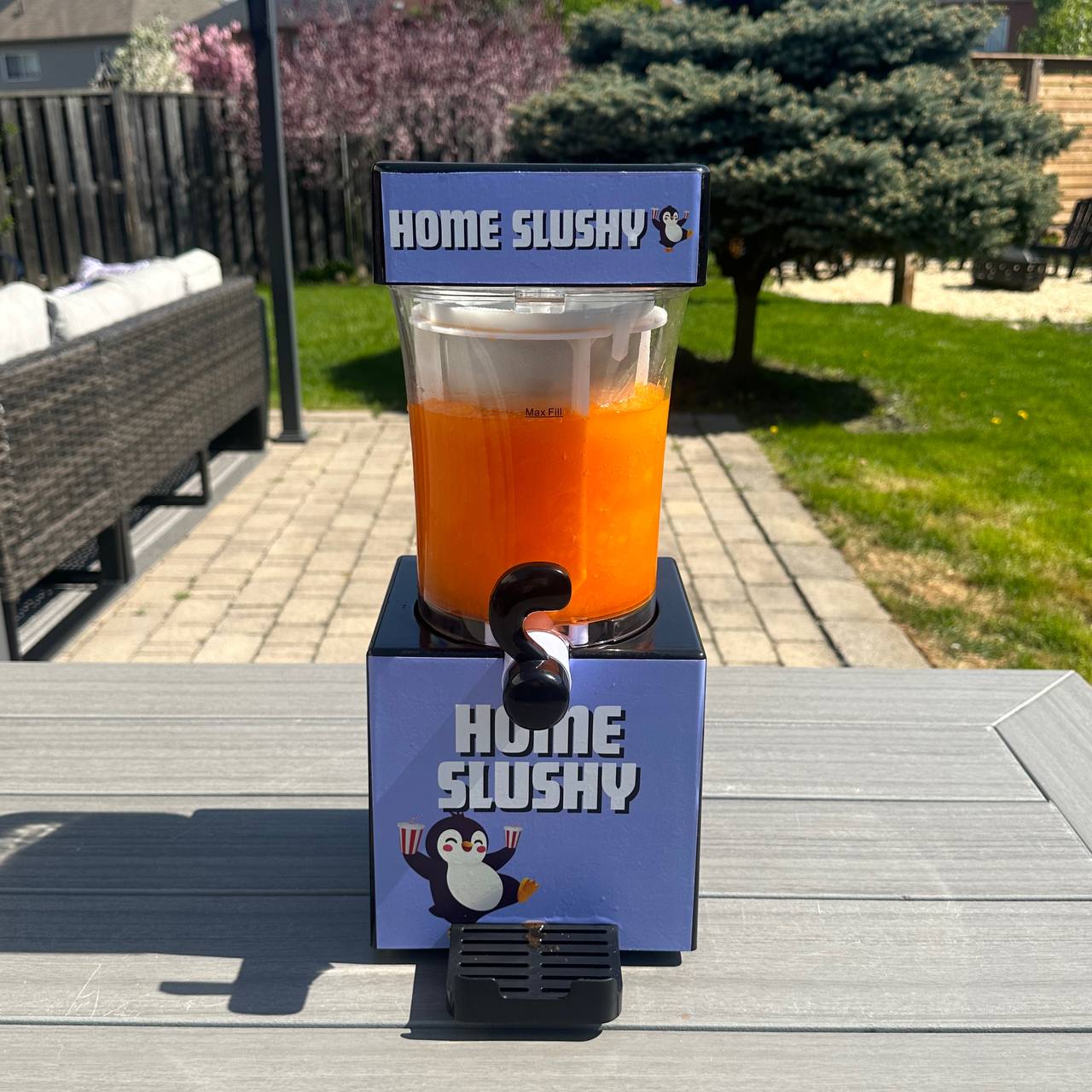 Home Crafted Slushy
