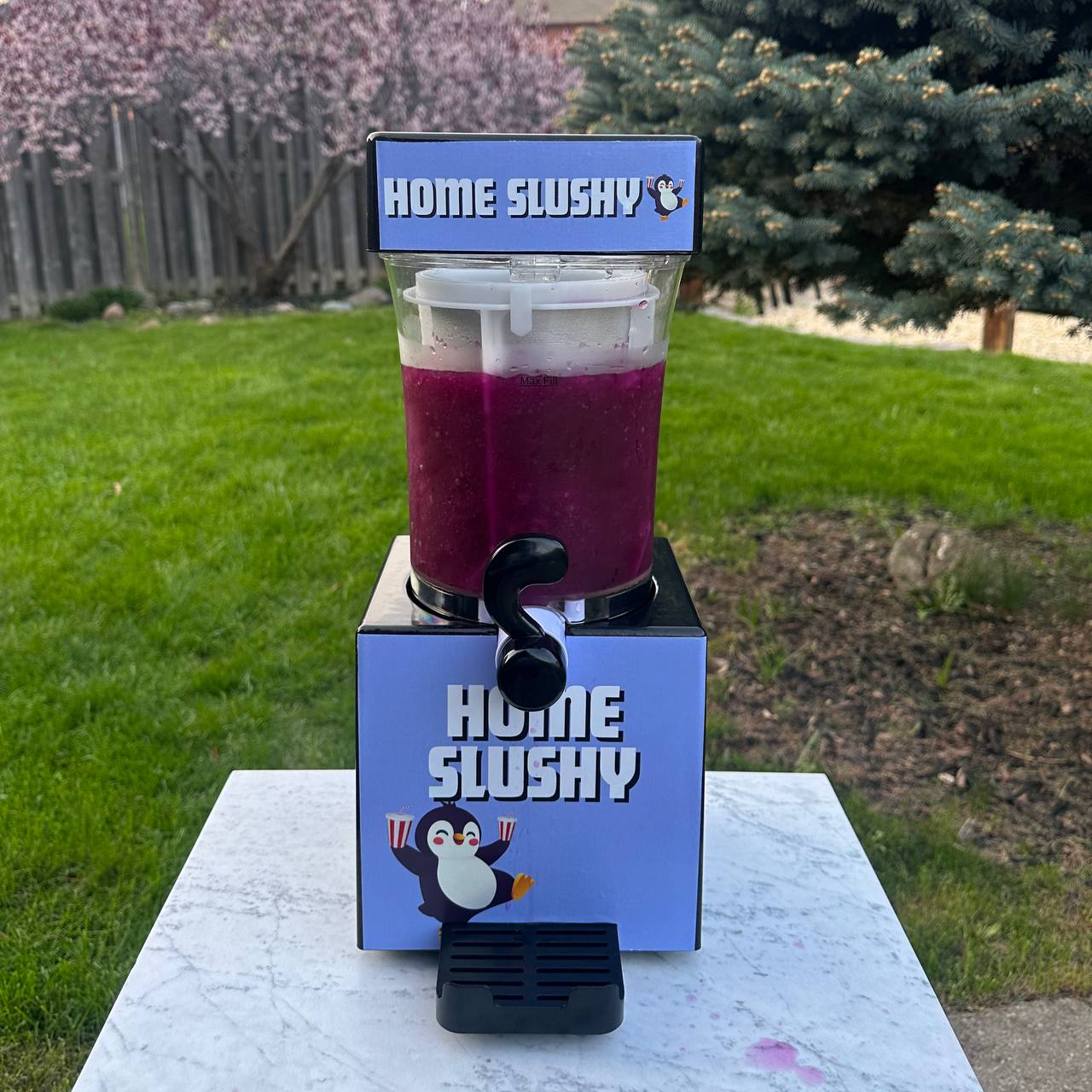 Home Crafted Slushy
